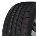 Bild von Royal Sport XL