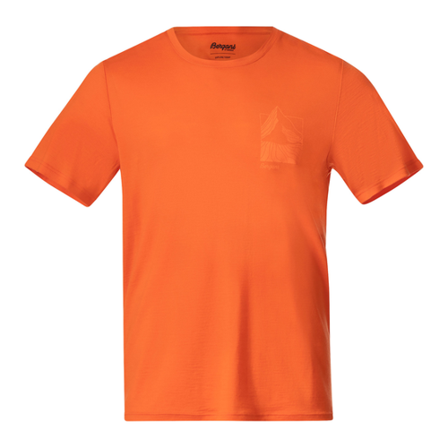 Bild von Bergans Herren Rabot Mount Wool T-Shirt