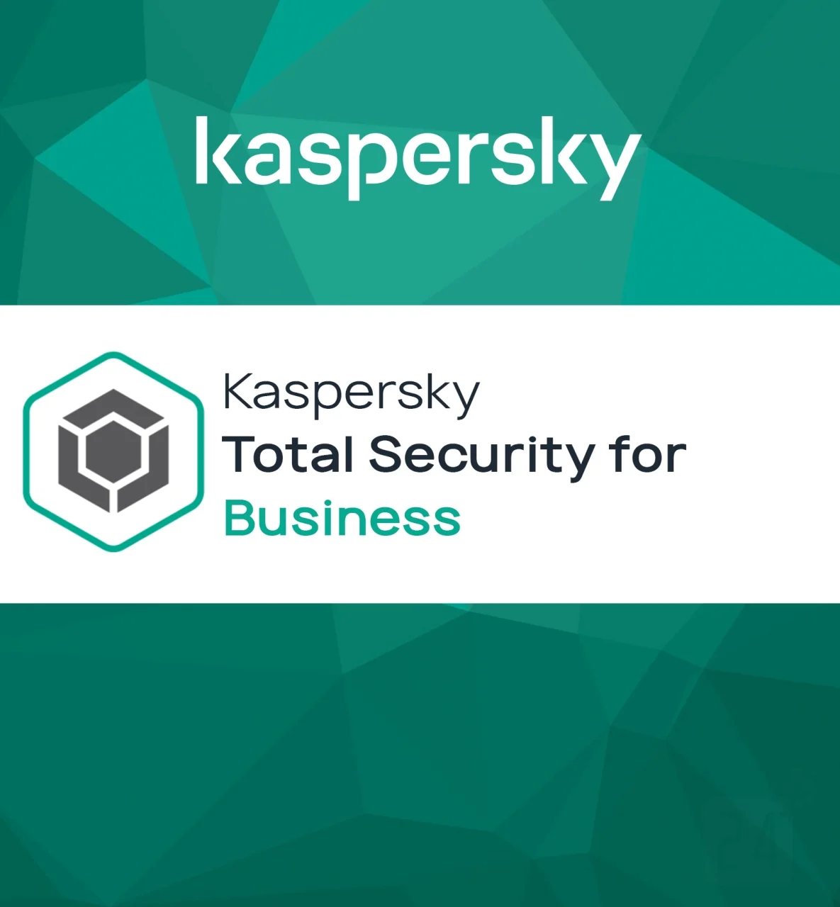 Bild von Kaspersky Total Security for Business - Abonnement-Lizenz (1 Jahr) - 1 Knoten - Volumen - Stufe K (10-14) - Europa (KL4869XAKFS)