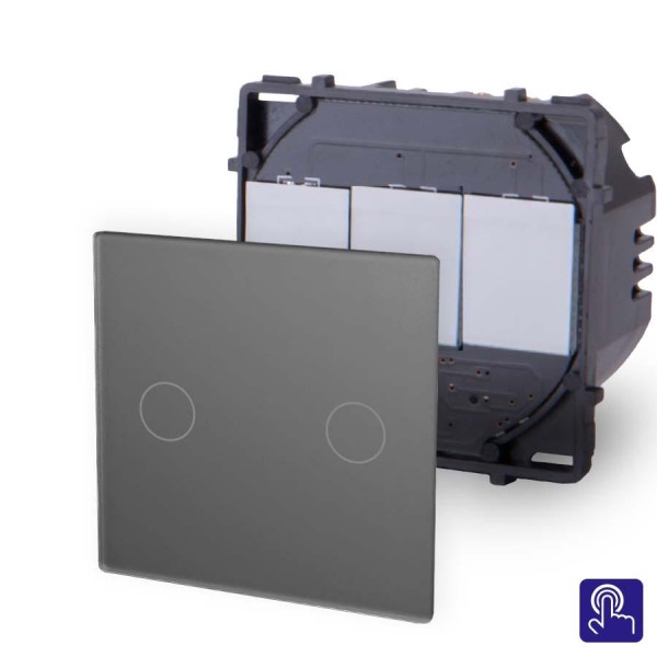 Bild von 2-faches Touch Serientaster Modul Niederspannung 12/24V Grau Point