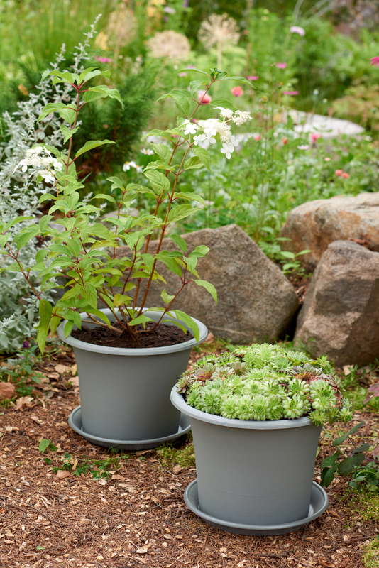 Bild von orthex Blumentopf BOTANICA, Durchmesser: 450 mm, schwarz