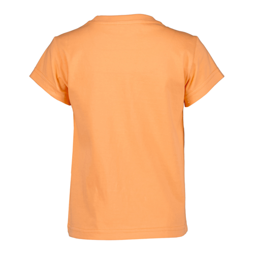 Bild von Didriksons Kinder Mynta T-Shirt – Farbenfrohes Baumwollshirt für aktive Kinder