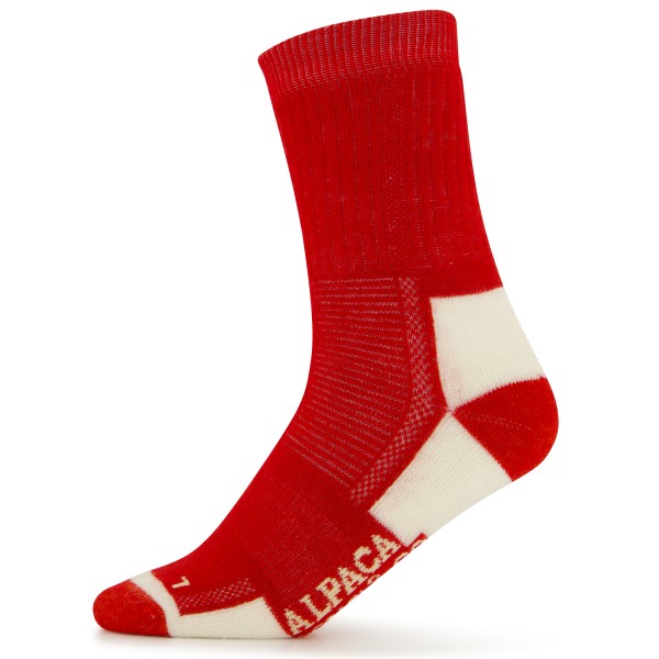 Bild von Alpacasocks&Co - Merino Kids - Multifunktionssocken Gr 27-30 rot