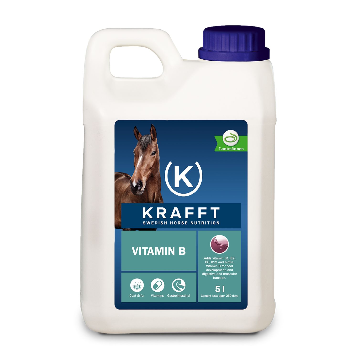 Bild von KRAFFT Vitamin B