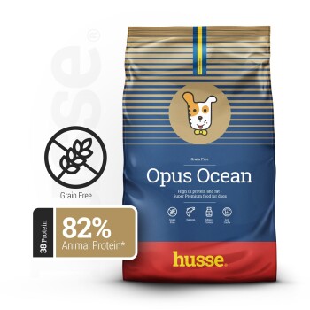 Bild von husse Opus Ocean Lachs&Kartoffel 12 kg