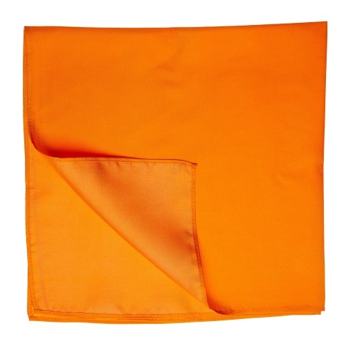 Bild von TINITEX Seidentuch Seidentuch Halstuch Twill orange