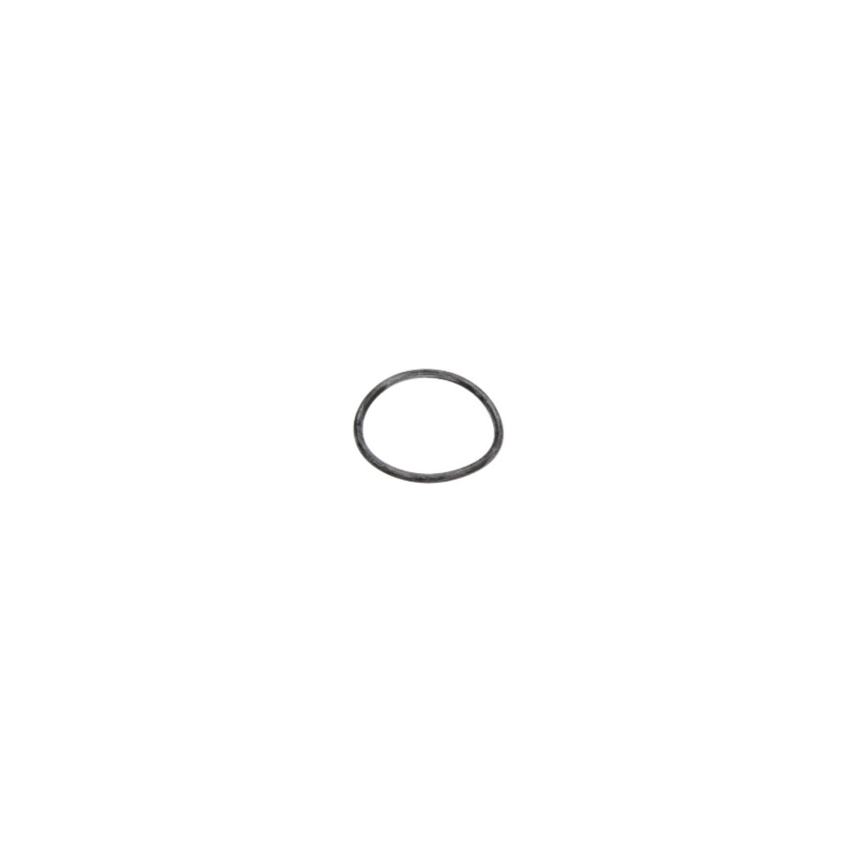 Bild von Dichtring, Hinterradnabe EURORICAMBI 74171041