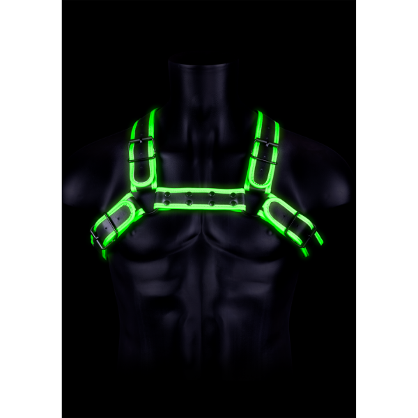 Bild von Bulldog Harness with Buckle - Glow in the Dark - S/M