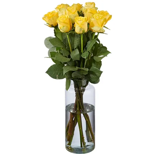 Bild von 10 Gelbe Rosen Premium