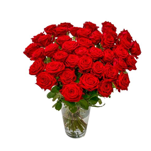 Bild von 30 Rote Rosen - Premium Red Naomi