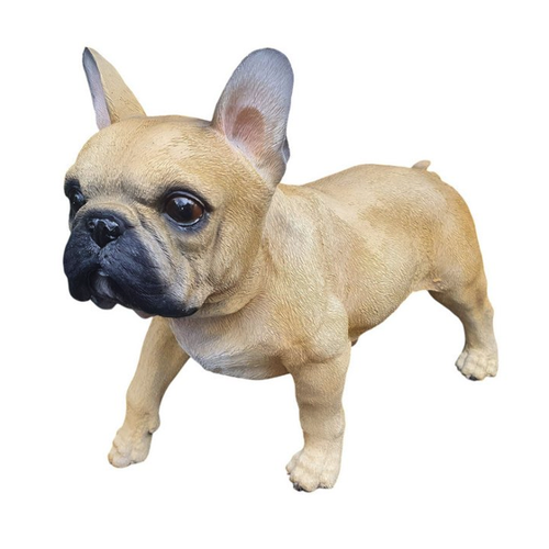 Bild von Aspinaworld Gartenfigur Französische Bulldogge 29 cm – Charmante Deko für Ihr Zuhause