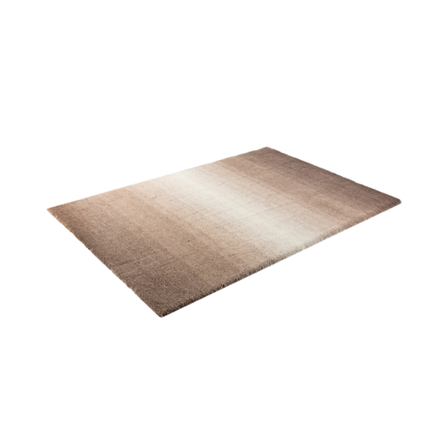 Bild von Hochflorteppich in Beige - Stilvoll und Komfortabel
