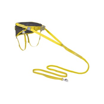 Bild von Ruffwear - Omnijore Joring System - Hundegeschirr Gr M - 69-81 cm grün