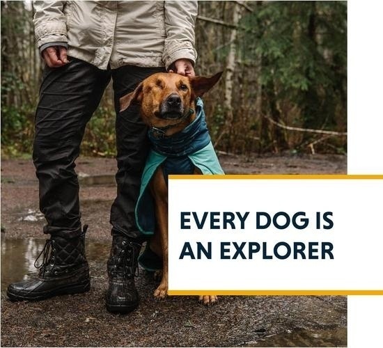 Bild von Ruffwear Dirtbag™ Hundehandtuch L