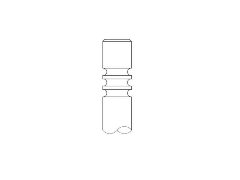 Bild von INTERVALVES Einlassventil Artikel: 3056.032