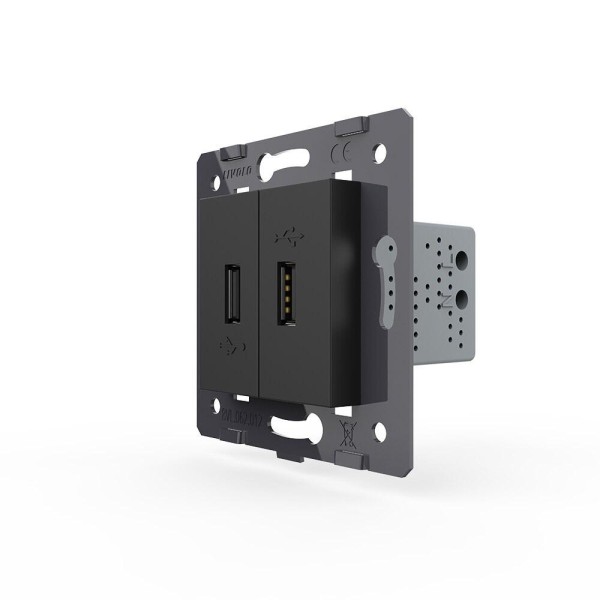 Bild von 2-faches USB-Modul schwarz VL-C7-2USB-12 LIVOLO