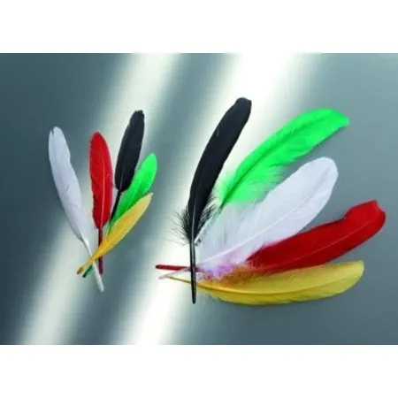 Bild von Glorex Indianerfeder 13cm, 15 Stück