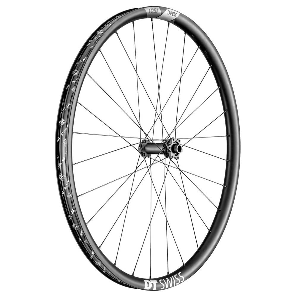 Bild von Dt Swiss Xmc 1501 Spline 30 29´´ Is Disc Tubeless Mtb Front Wheel Silber 15 x 110 mm
