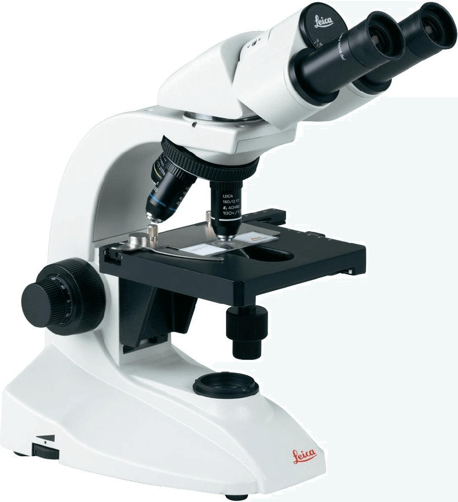 Bild von Leica Microsystems 13613384 DM300 Durchlichtmikroskop Binokular 1000 x Durchlicht