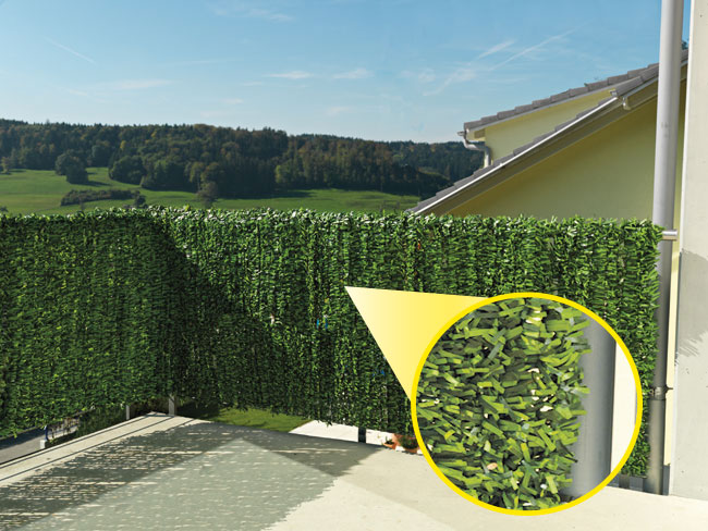 Bild von Sichtschutzhecke 300 x 150 cm