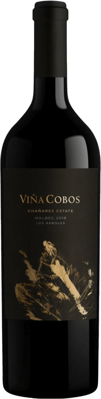 Bild von Vina Cobos »Chanares« Malbec