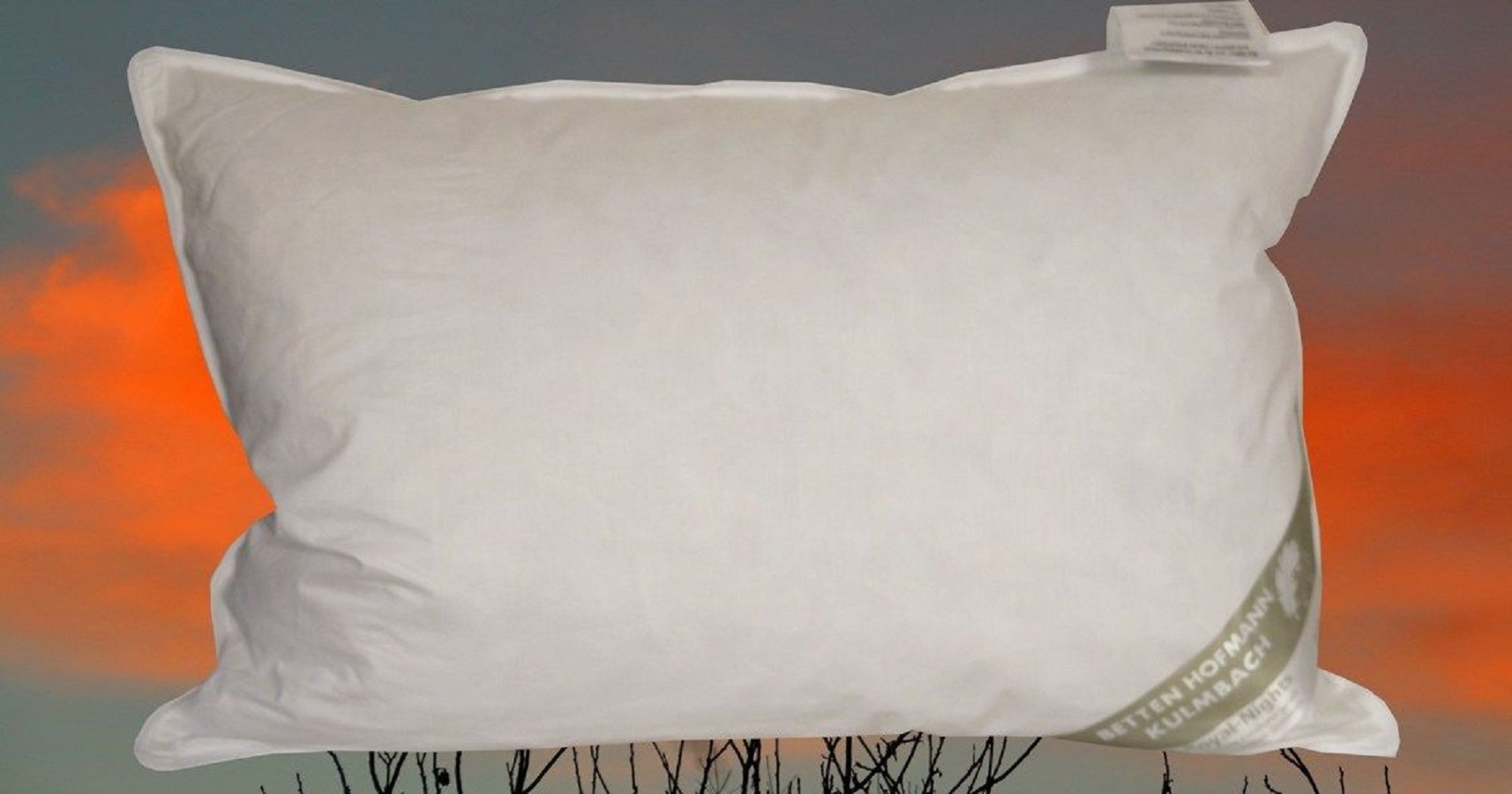 Bild von JAPAN Kissen Kopfkissen Daunenkissen  43x63 cm  100% Daunen flauschig weich 300 g soft