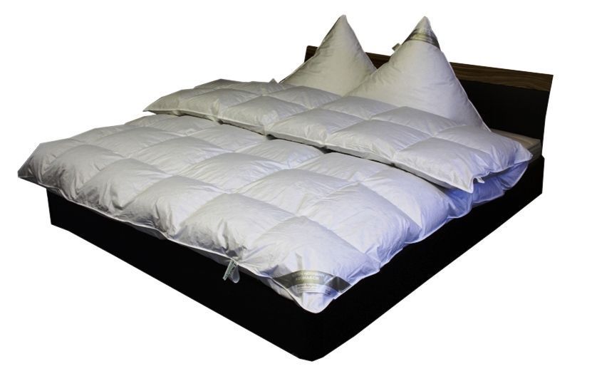 Bild von Betten Hofmann Premium 8 cm Hochsteg Daunenbett Daunendecke 155x220 cm 100% pilsner Gänseflaum