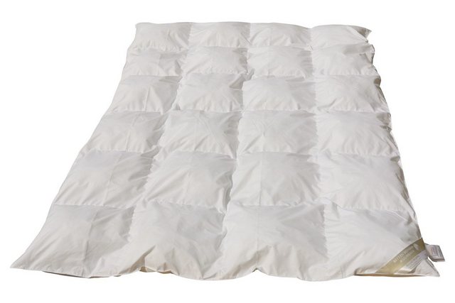 Bild von Betten Hofmann Microfaserbettdecke Hofmann Basic Kassettenbett 4x6 Mikrofaser Steppbett Ganzjahresdecke, Füllung: 1440 g silikonisierte Hohlfaserkugel (100% Polyester)