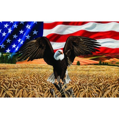 Bild von SunsOut Amber Waves of Grain 1000 Teile Puzzle Sunsout-45809