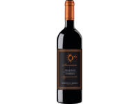 Bild von Samsara Barbera Appassimento 2020, Piemont, trocken