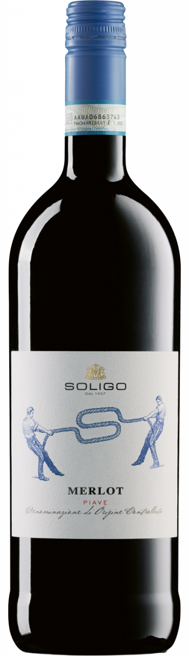 Bild von Colli del Soligo Merlot del Piave DOC 1 L