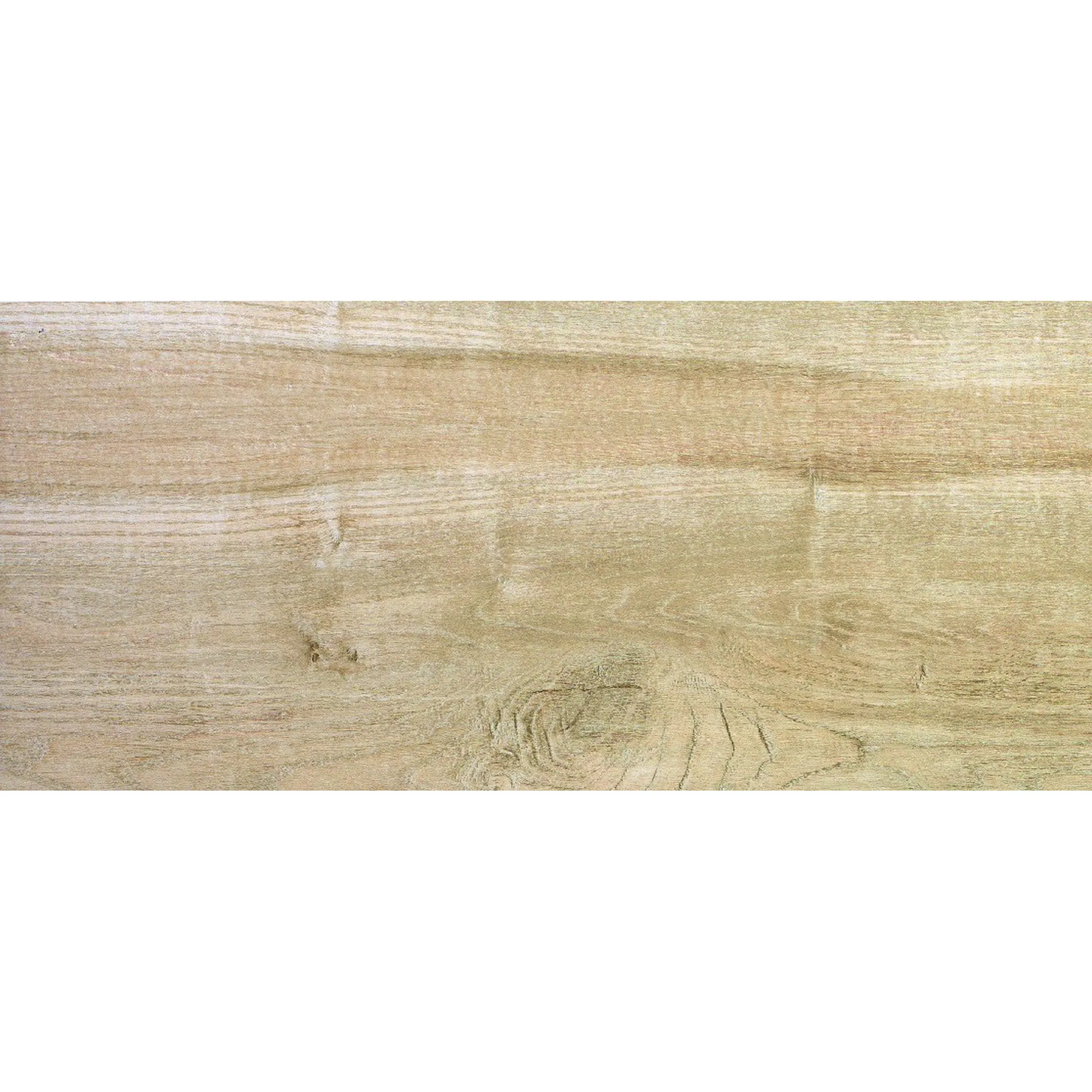 Bild von Bodenfliese 'Casa' Feinsteinzeug almond 30 x 60 cm
