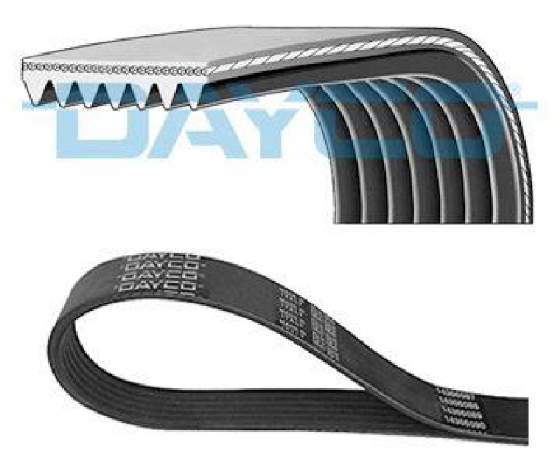 Bild von DAYCO 7PK1687S Keilrippenriemen Rippenriemen 1687,0 7 RENAULT: Kadjar, SCENIC 3, MASTER 3 Kasten, NISSAN: Qashqai / Qashqai+2 I