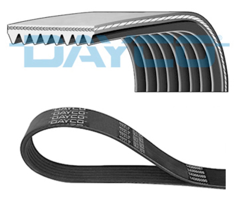 Bild von DAYCO 8PK1230HD Keilrippenriemen Rippenriemen 1230,0 8