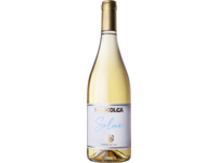 Bild von Solui Secco Bianco 2022, Piemont, trocken