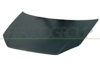 Bild von PRASCO Motorhaube  für VW 6Q0823031J 6Q0823031H VG0223100