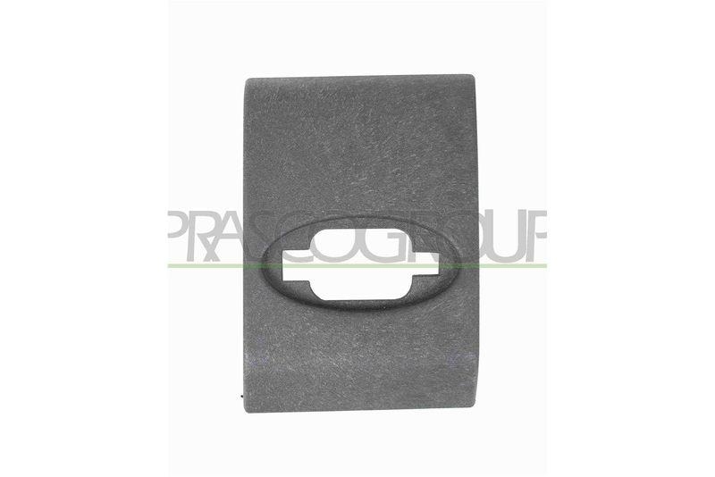 Bild von PRASCO OP9541425 Zierleisten Zier-/Schutzleiste, Tür RENAULT: MASTER 3 Kasten, OPEL: Movano B Van