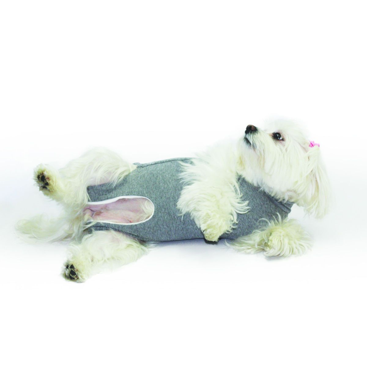 Bild von Fashion Dog Cura Pets OP- und Wundschutz-Body für Hunde und Katzen