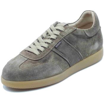 Bild von NeroGiardini  Halbschuhe E500685U Arold Velo