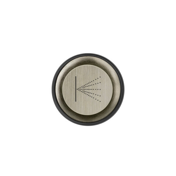 Bild von Gessi Venti20 Bedientaste-Abdeckung Nebel, Deckenmontage, SP03290, Farbe: Finox Optik
