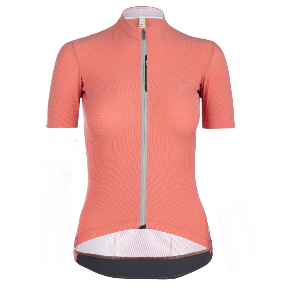 Bild von Q36.5 L1 Pinstripe X Short Sleeve Jersey Rosa M Damen