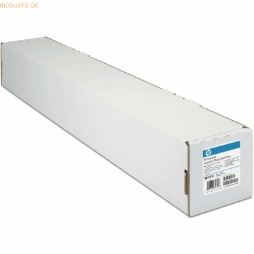 Bild von HP Universal Instant-Dry Photo Semi-Gloss - Halbglänzend - 7,4 mil - Rolle (152,4 cm x 61 m) - 190 g/m² - 1 Rolle(n) Fotopapier - für DesignJet Z6100, Z6100ps, Z6200 (60), Z6600 Production Printer, Z6800 Photo Production