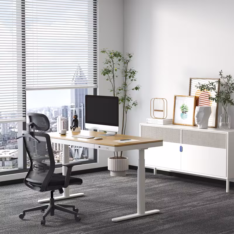 Bild von FlexiSpot BackSupport Bürostuhl BS3, Ergonomischer Bürostuhl mit Kleiderbügel, Schwarz, 120kg Traglast