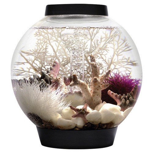 Bild von biOrb CLASSIC 15 LED schwarz (71999)