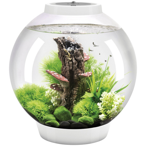 Bild von OASE Tabletop Aquarien »biOrb CLASSIC«, mit LED Beleuchtung, 30 l, weiss