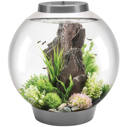 Bild von biOrb 72012 CLASSIC 60 LED, 60 L, silber - Acryl-Aquarium in Kugelform, Komplett-Set mit Filtersystem, LED-Beleuchtung, Keramik-Kies