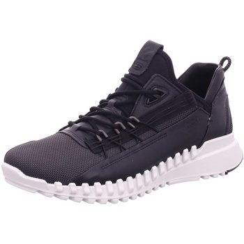 Bild von Ecco  Halbschuhe Schnuerschuhe  ZIPFLEX M 803734/56327