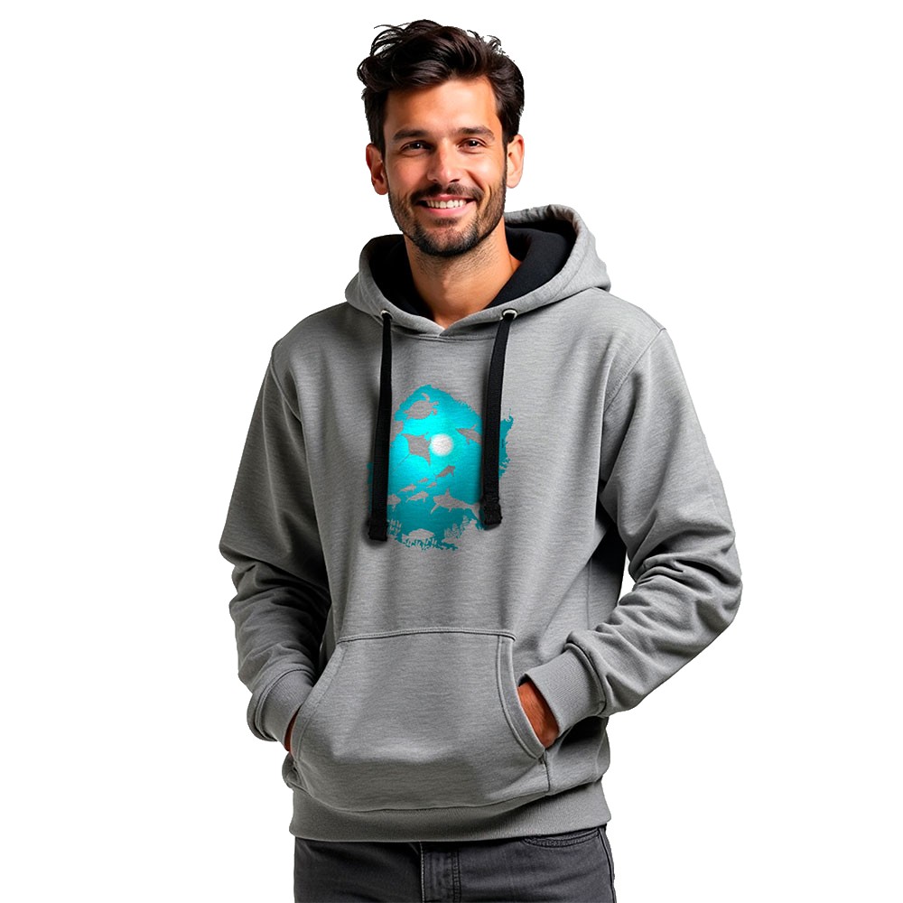 Bild von Kruskis Underwater Dream Two-colour Hoodie Grau L Mann