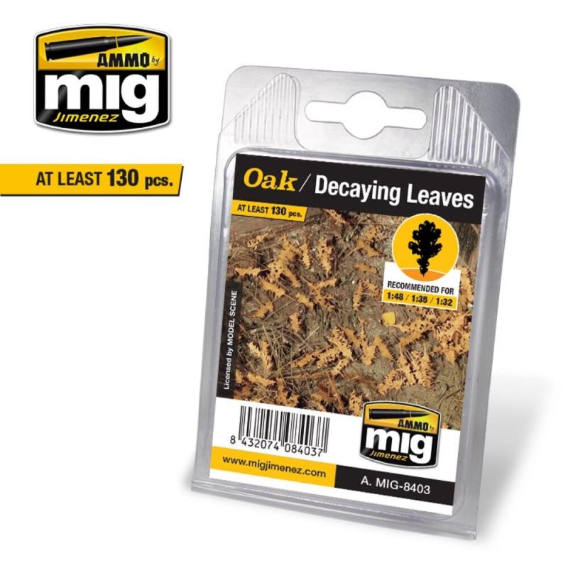 Bild von Oak - Decaying Leaves