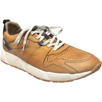 Bild von Pikolinos  Sneaker Meliana-m6p-6322